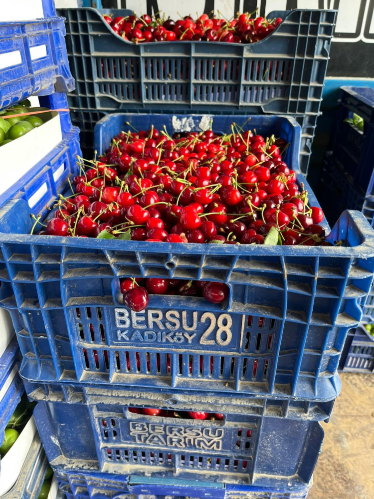 Bursa’da erkenci kiraz bereketi: Fiyatlar dudak uçuklattı - Bursa Hayat - 3