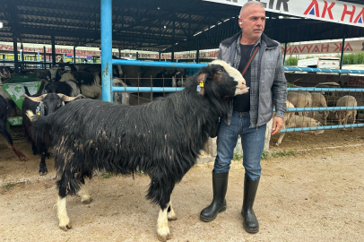 Bursa'da kurban pazarında rekor satış: Tam 120 kilo!