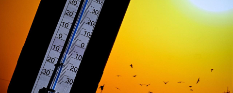 El Nino etkisi geri dönüyor: Dünya bu yıl kavrulacak
