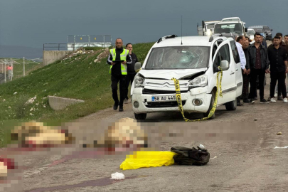 Koyun sürüsüne dalan araç felakete yol açtı: Çoban öldü, koyunlar telef oldu