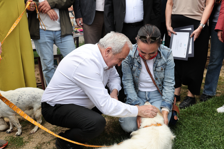 Nilüfer'de can dostlar yeni yuvalarına kavuştu! - Bursa Hayat - 2