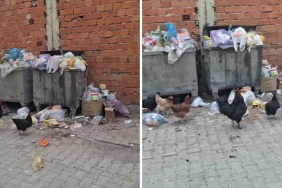Bursa'da vatandaşlar isyan etti! 2 haftadır toplanmadığı iddia ediliyor