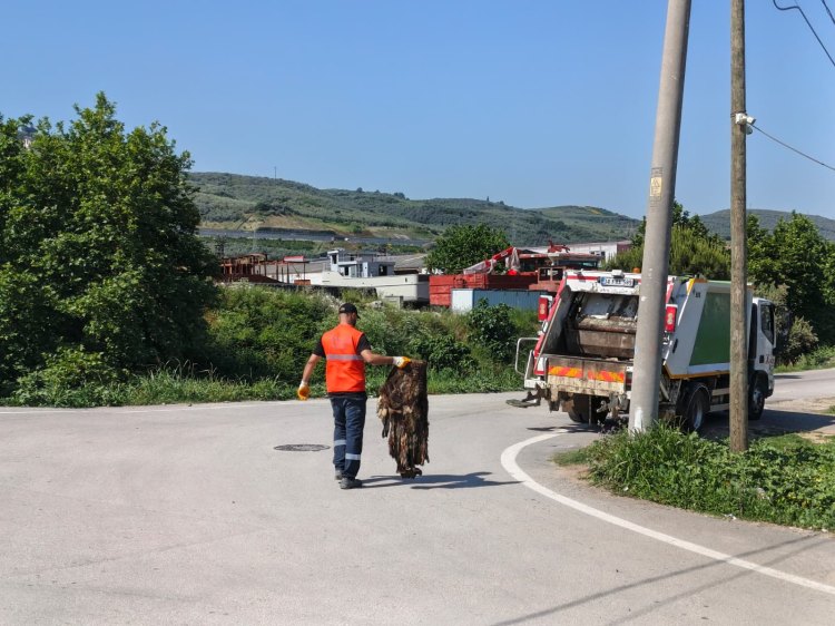 Gemlik'te bayram sonrası temizlik seferberliği - Bursa Hayat - 2