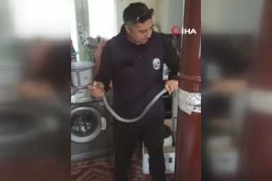 Yılancı Kemal'den nefes kesen müdahale! Karayılanı eliyle yakaladı