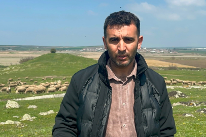 Koyunculuğa başlayacaklar dikkat: Yarım asırlık tecrübeden önemli öneriler