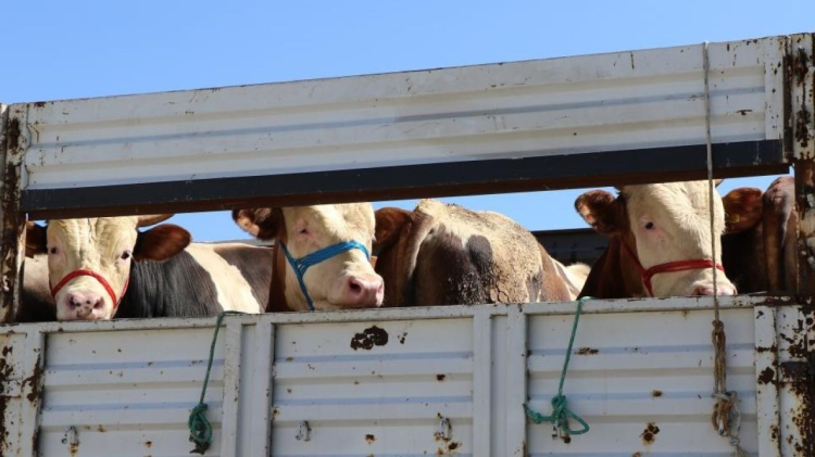 Meclis'te kritik hafta: Alkole yeni yasak, kaçak yapıya ağır ceza geliyor - Bursa Hayat - 4