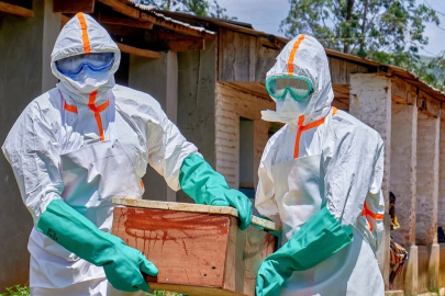 Dünya Kupası öncesi Ebola endişesi! Hazırlık kampı iptal edildi