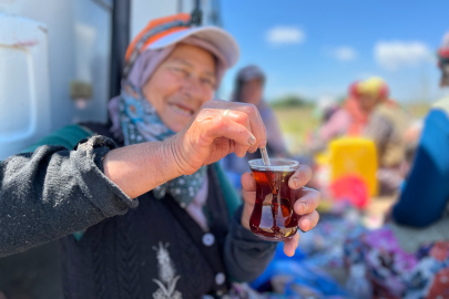 Bursa’da tarladaki yorgunluğu odun ateşinde demlenen çayla atıyorlar