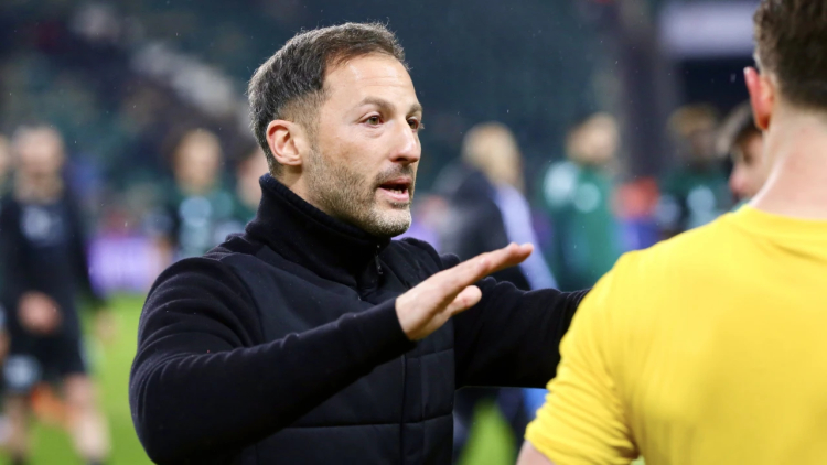 FENERBAHÇE'DE KUPA SEVİNCİ YAŞADI