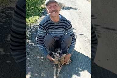 Karaca yavrularına Arçil ve Şota ismini verdi