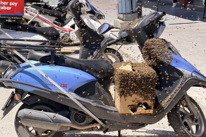 Binlerce arı motosikleti sardı!