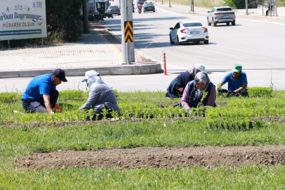 Osmangazi rengarenk oldu! 260 bin çiçek toprakla buluştu