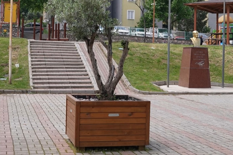 Kestel’de üreten belediye modeli - Bursa Hayat - 2