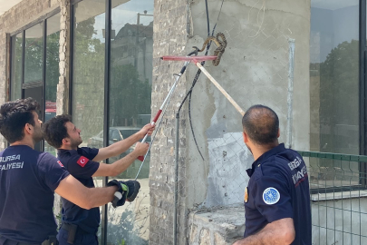 Bursa'da iş yerinde beklenmedik misafir panik yarattı