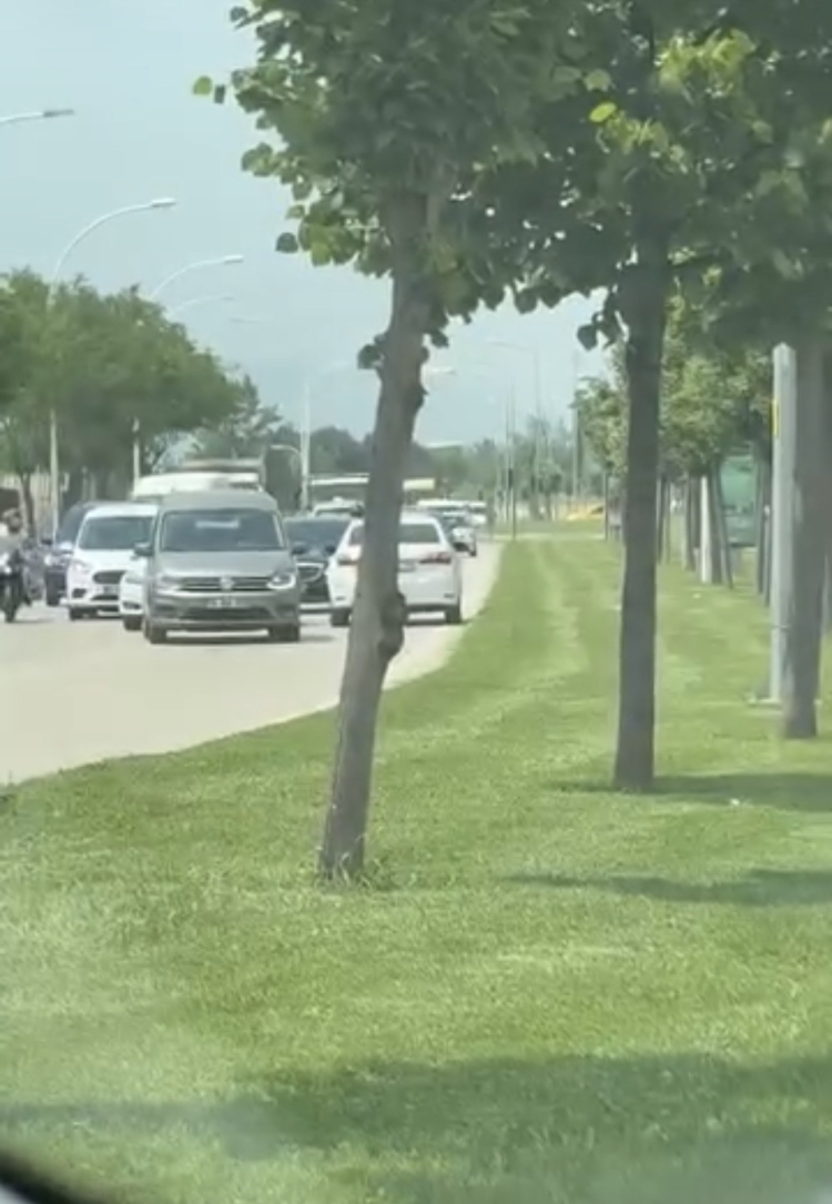 Bursa’da korkutan anlar! Ters yönde araç trafiği kilitledi - Bursa Hayat - 2