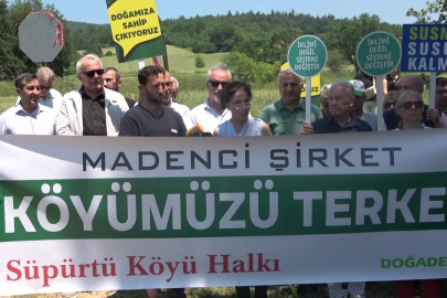 Bursa'da madencilik tepkisi: Çevreciler ve köylülerden ortak ses