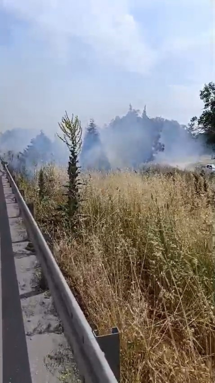 Bursa'da yaz sıcağı yangın getirdi! - Bursa Hayat - 3