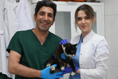 Gürsu'da iki can dost için seferberlik