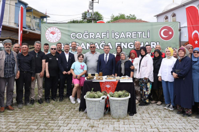 Tarladan sofraya: Bursa'nın yeşil hazinesinde hasat başladı