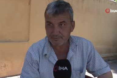 İncirin gizli kahramanı: İleğin kilosu 500 TL