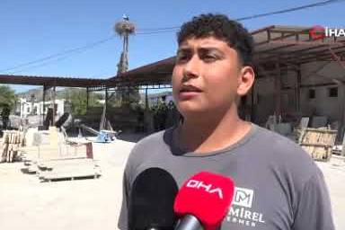 Aydın'da leylek çifti 2 yavrusunu büyütüyor