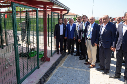 Güney Marmara’nın en büyük hayvan bakımevi Bursa'da açıldı