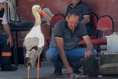 Bursa'da 10 yıldır her gün o masaya geliyor!