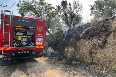 Bursa’da korkutan yangın! İtfaiye tel örgüleri keserek müdahale etti