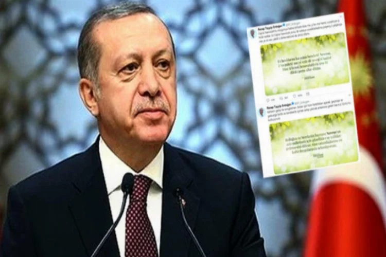 Erdoğan'dan Türkçe ve Kürtçe Nevruz mesajı