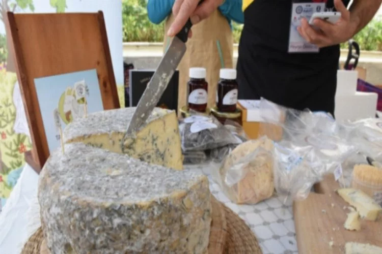 Uluslararası Peynir Festivali başladı