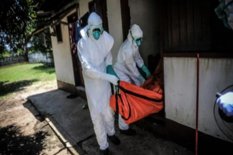 Dünya Sağlık Örgütü'nden Ebola virüsü kararı