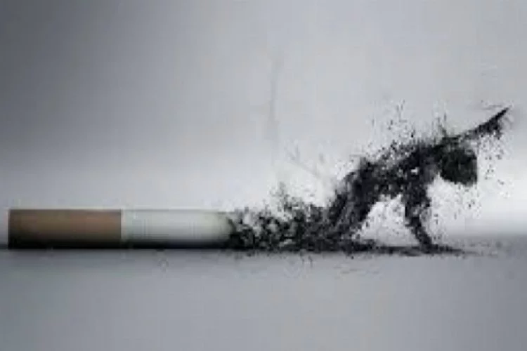 Yılda 8 milyon kişi sigara yüzünden ölüyor!