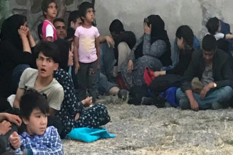 8'i çocuk, 12'si kadın 37 göçmen böyle yakalandı