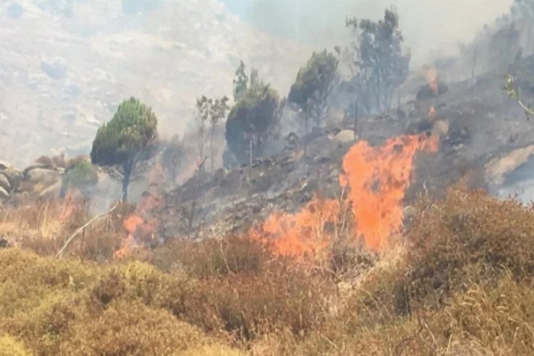 Marmara Adası'ndaki yangın söndürülemiyor