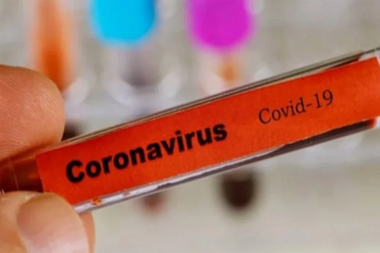 İran'da corona virüsten ölenlerin sayısı...