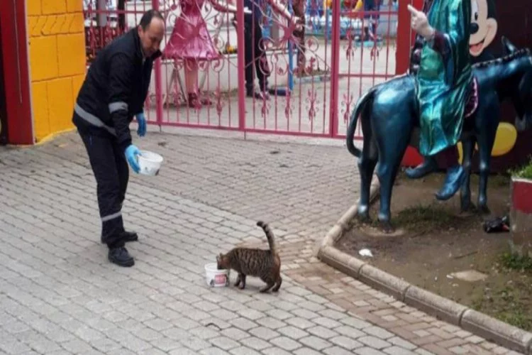 Bursa'da sokak hayvanları unutulmuyor
