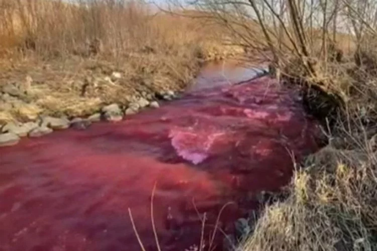 Kırmızıya bürünen nehir şaşkınlık yarattı