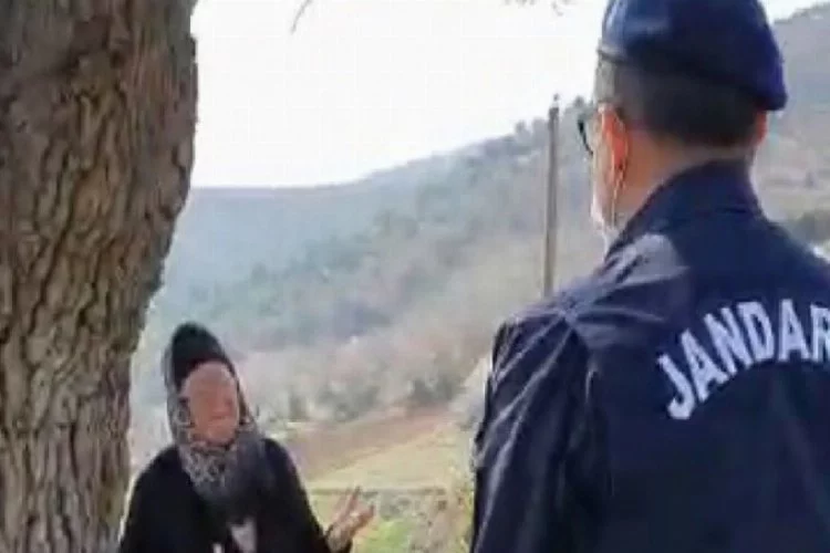 Jandarma dağda hayvan otlatan yaşlı kadını böyle uyardı