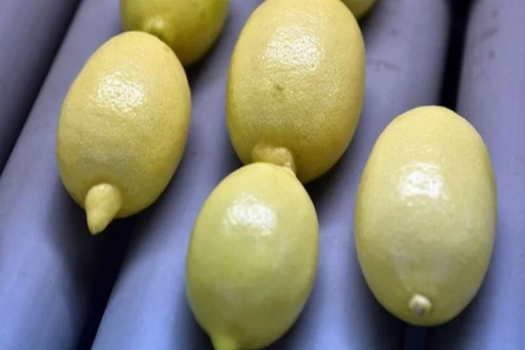 Bakanlıktan 10 bin ton limon ihracatına izin