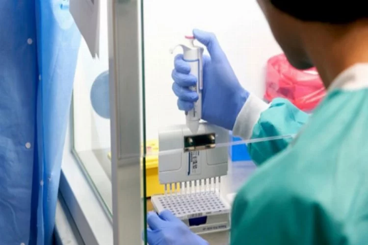 Sağlık Bakanlığı açıkladı! Korona virus için PCR testi ücretleri belli oldu