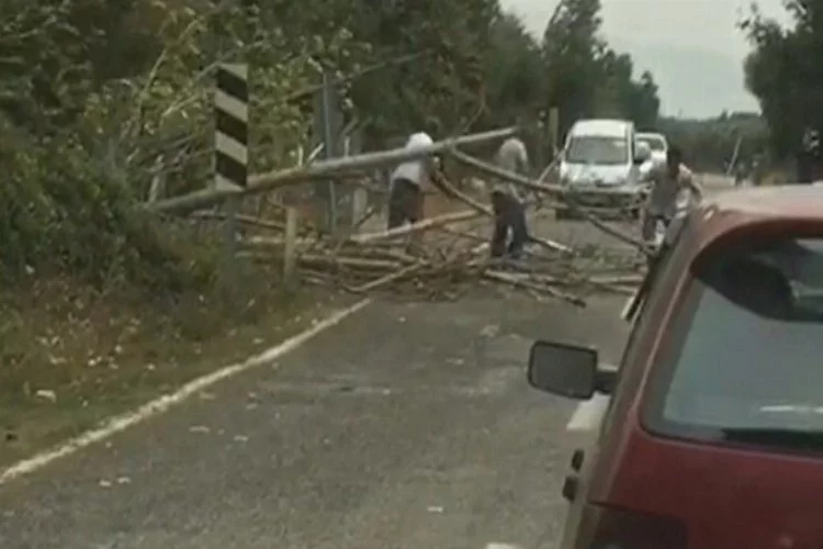 İznik'te rüzgar ağaçları devirdi, yol trafiğe kapandı