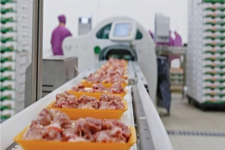 Beyaz et sektörü gözünü AB pazarına dikti
