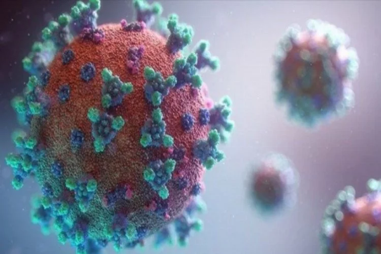 İsrail'de virüsün yeni mutasyonu ortaya çıktı