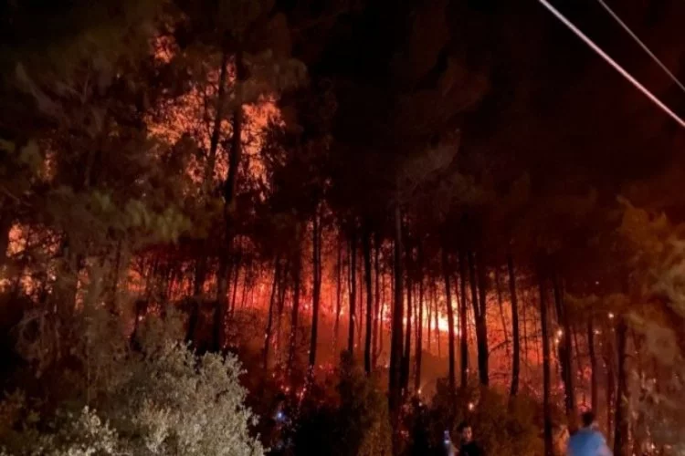 Yine yüreğimiz yandı: Fethiye'deki yangın kontrol altında