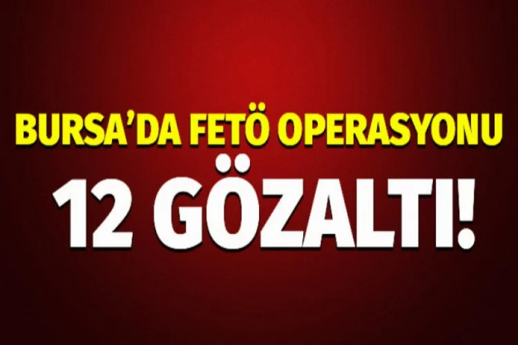 Bursa'da FETÖ operasyonu: 12 gözaltı