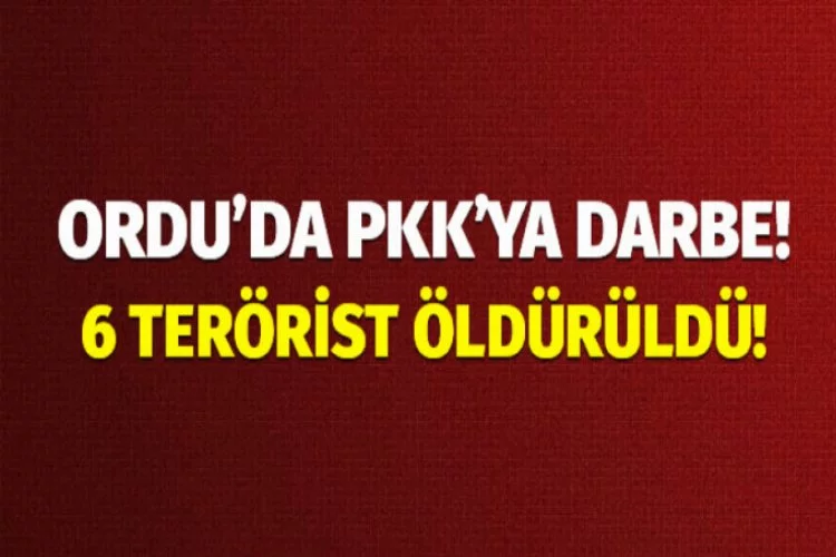 Ordu'da PKK'ya darbe: 6 terörist öldürüldü!