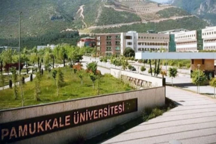 Pamukkale Üniversitesi, öğretim üyesi alacak