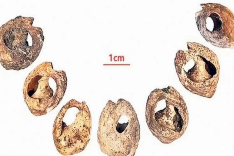 Tam 150 bin yıllık: Dünyanın en eski mücevheri...