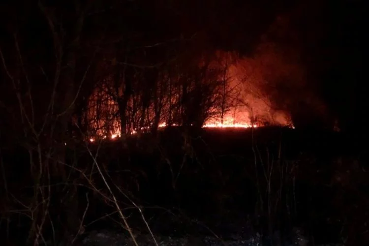 Zonguldak'ta örtü yangını kontrol altına alındı