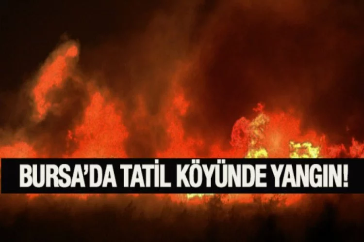 Bursa'da restoran yangını!